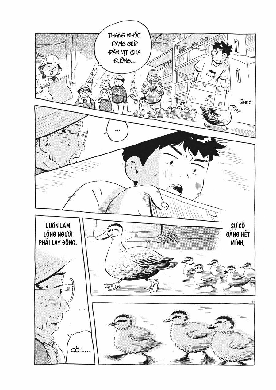 Sống Trong Ngôi Nhà Cấp 4 52 trang 13