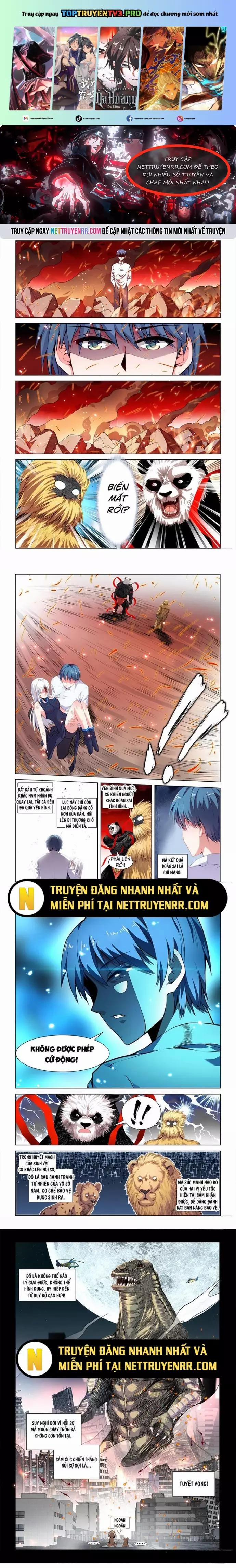 Song Tu Đạo Lữ Của Tôi 812 trang 0