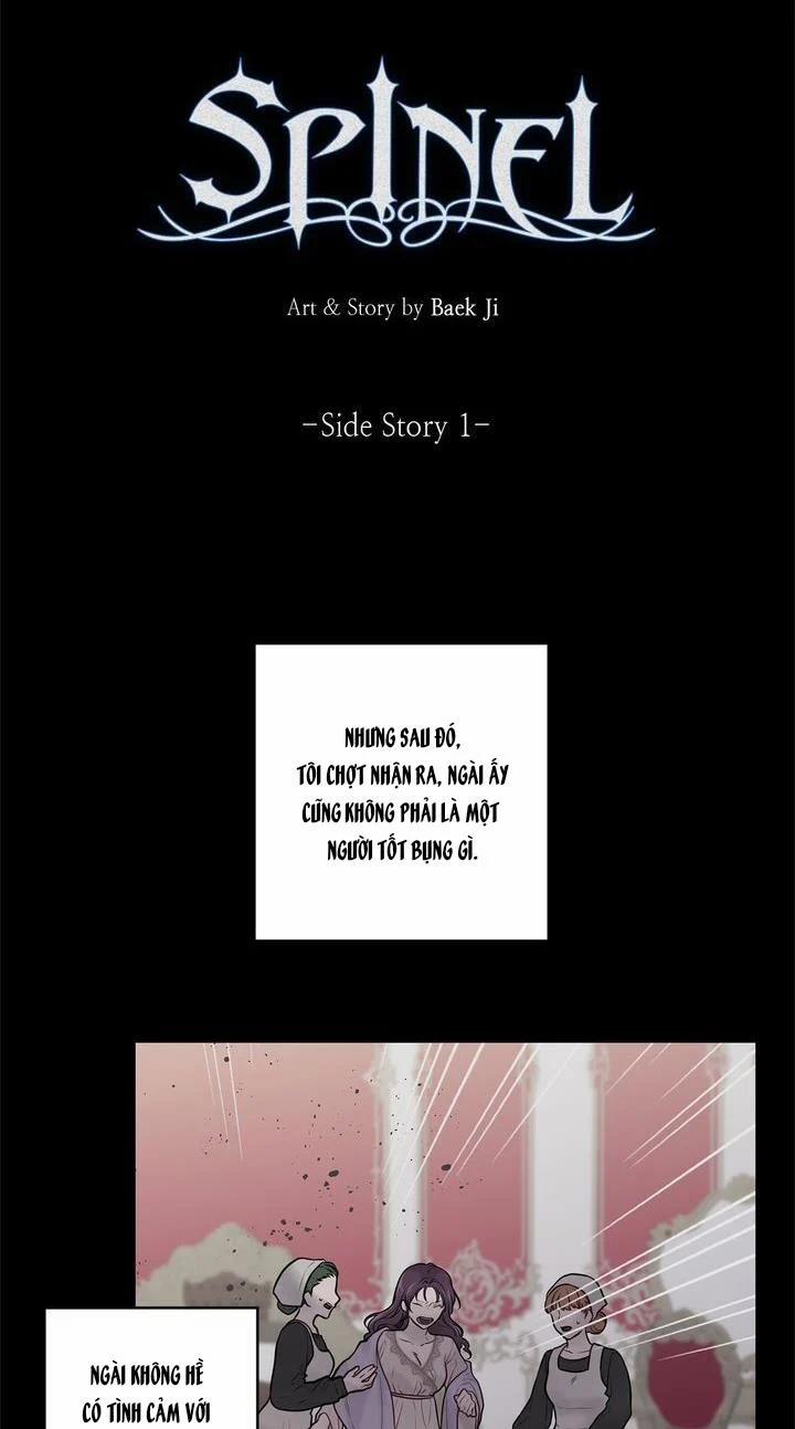 Spinel 31 trang 10