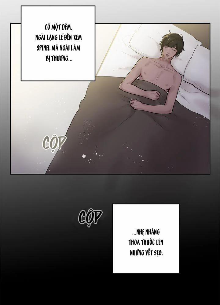 Spinel 31 trang 26