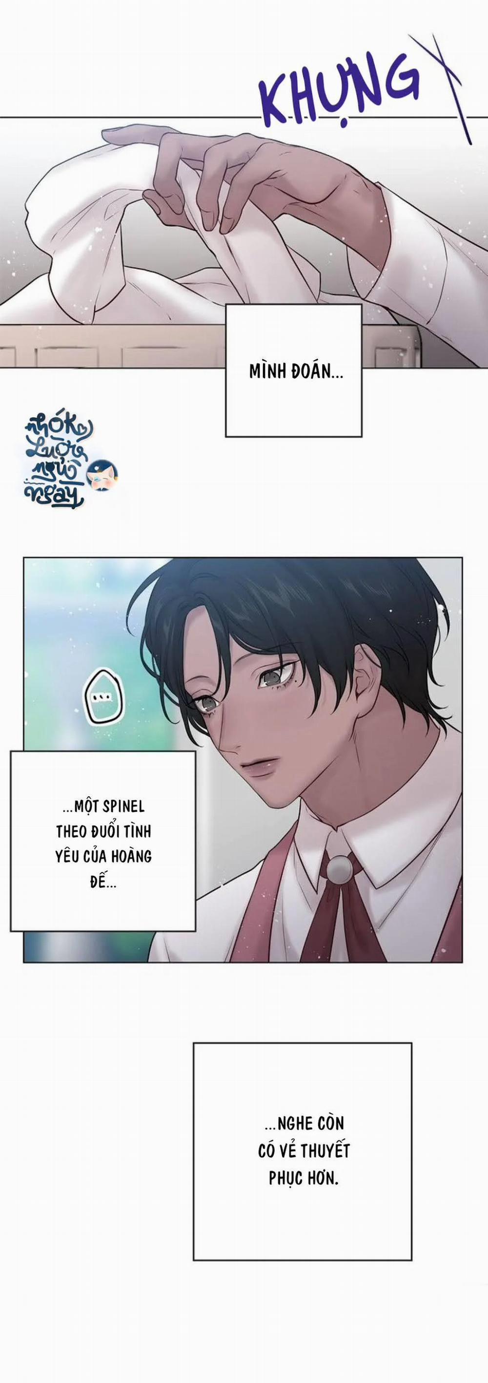 Spinel 34 trang 12