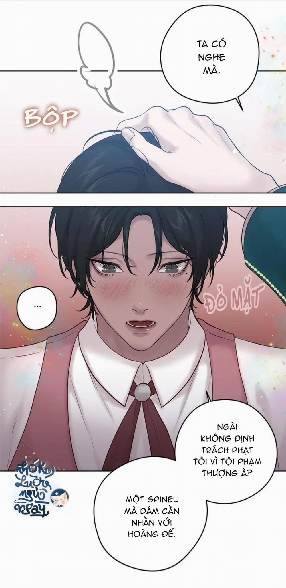 Spinel 34 trang 19