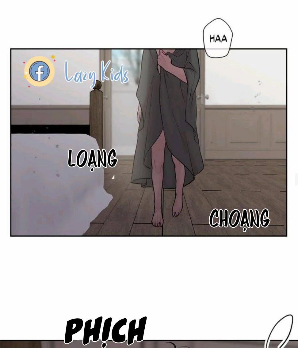 Spinel 36.5 trang 14