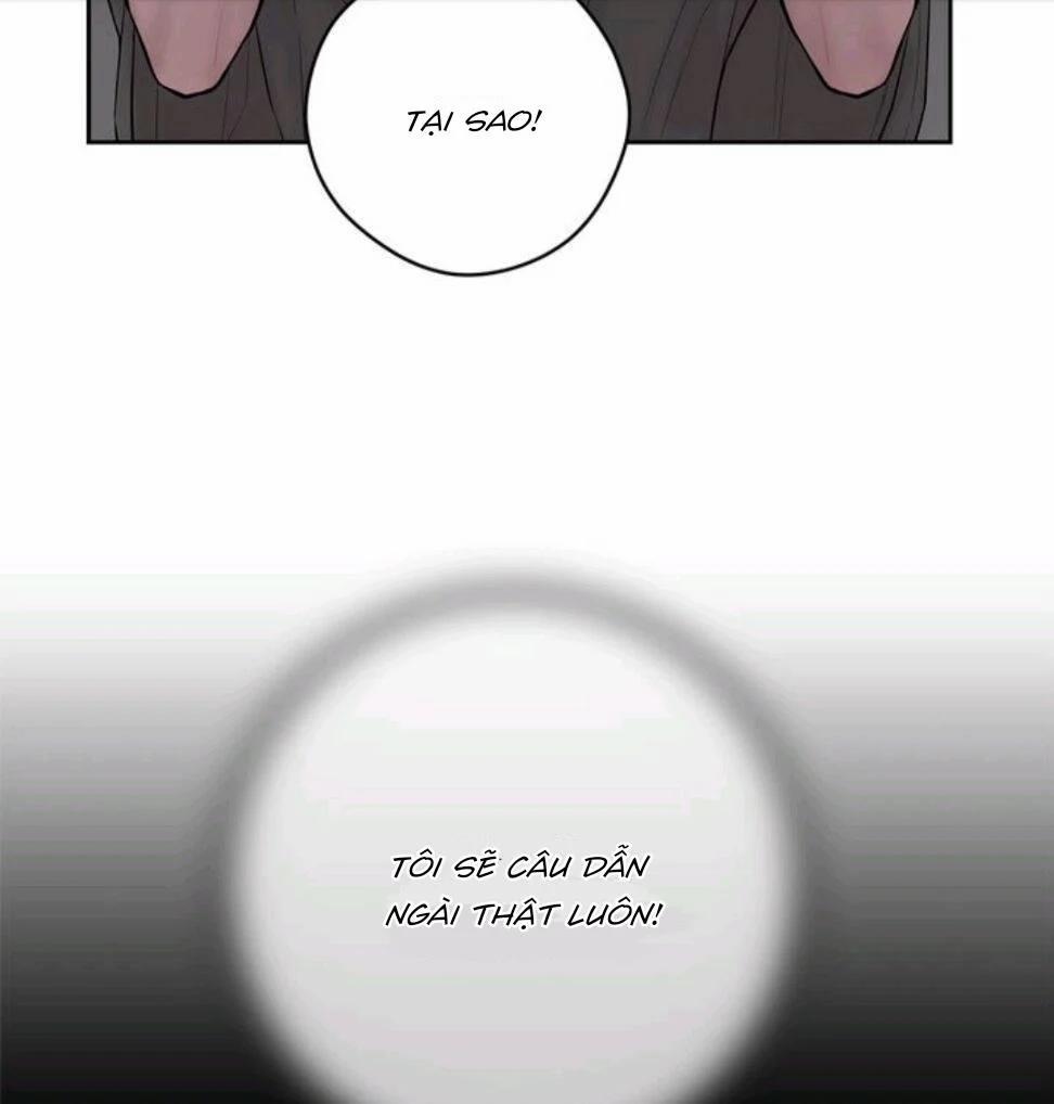 Spinel 36.5 trang 17