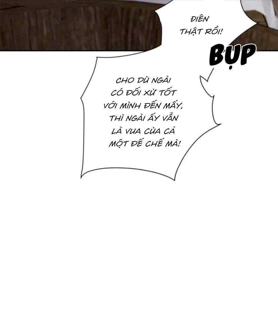 Spinel 36.5 trang 21