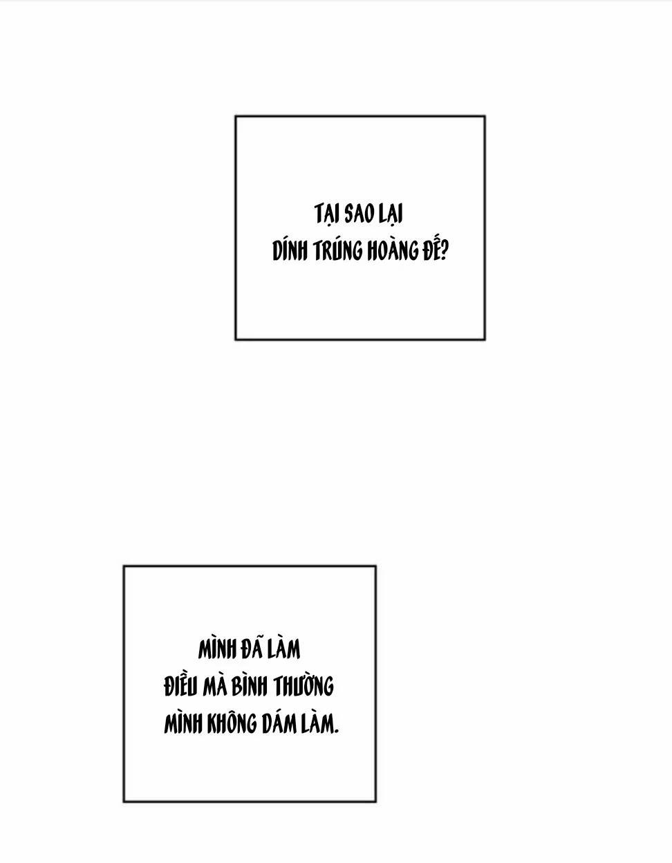 Spinel 36.5 trang 23