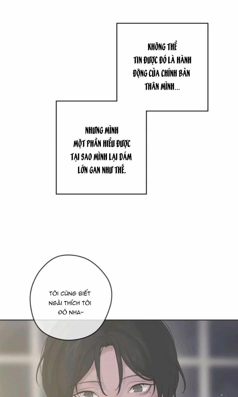 Spinel 36.5 trang 24