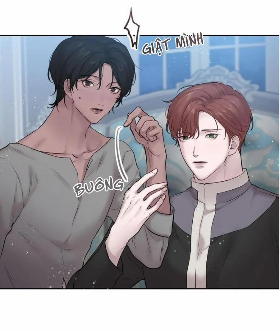 Spinel 38.5 trang 10