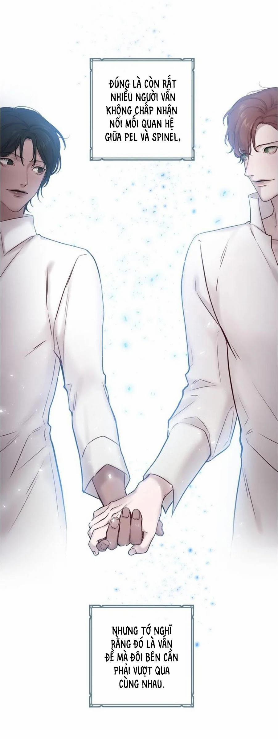 Spinel 38.5 trang 19