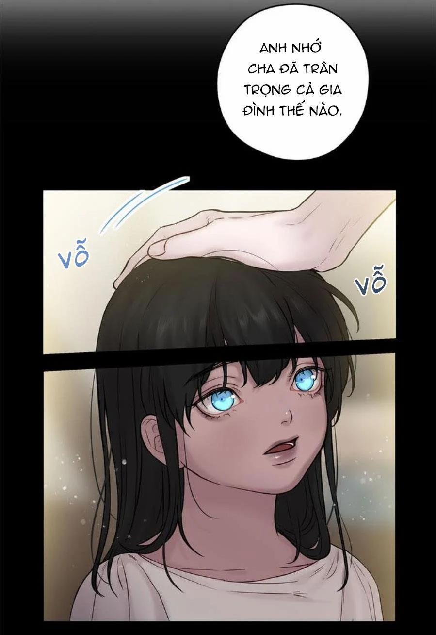 Spinel 39.5 trang 17