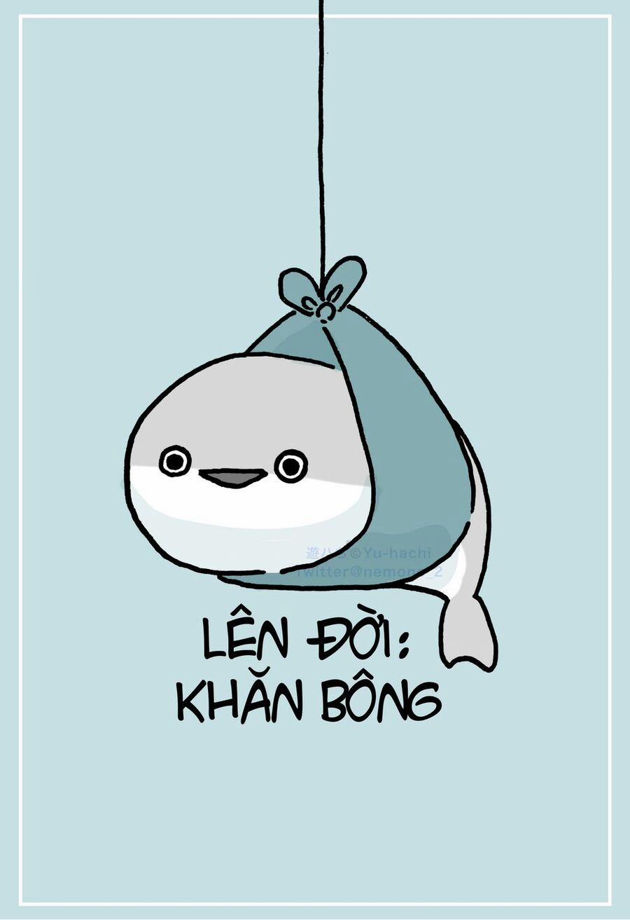 Spis, Nhân Viên Bán Hàng 3 trang 3