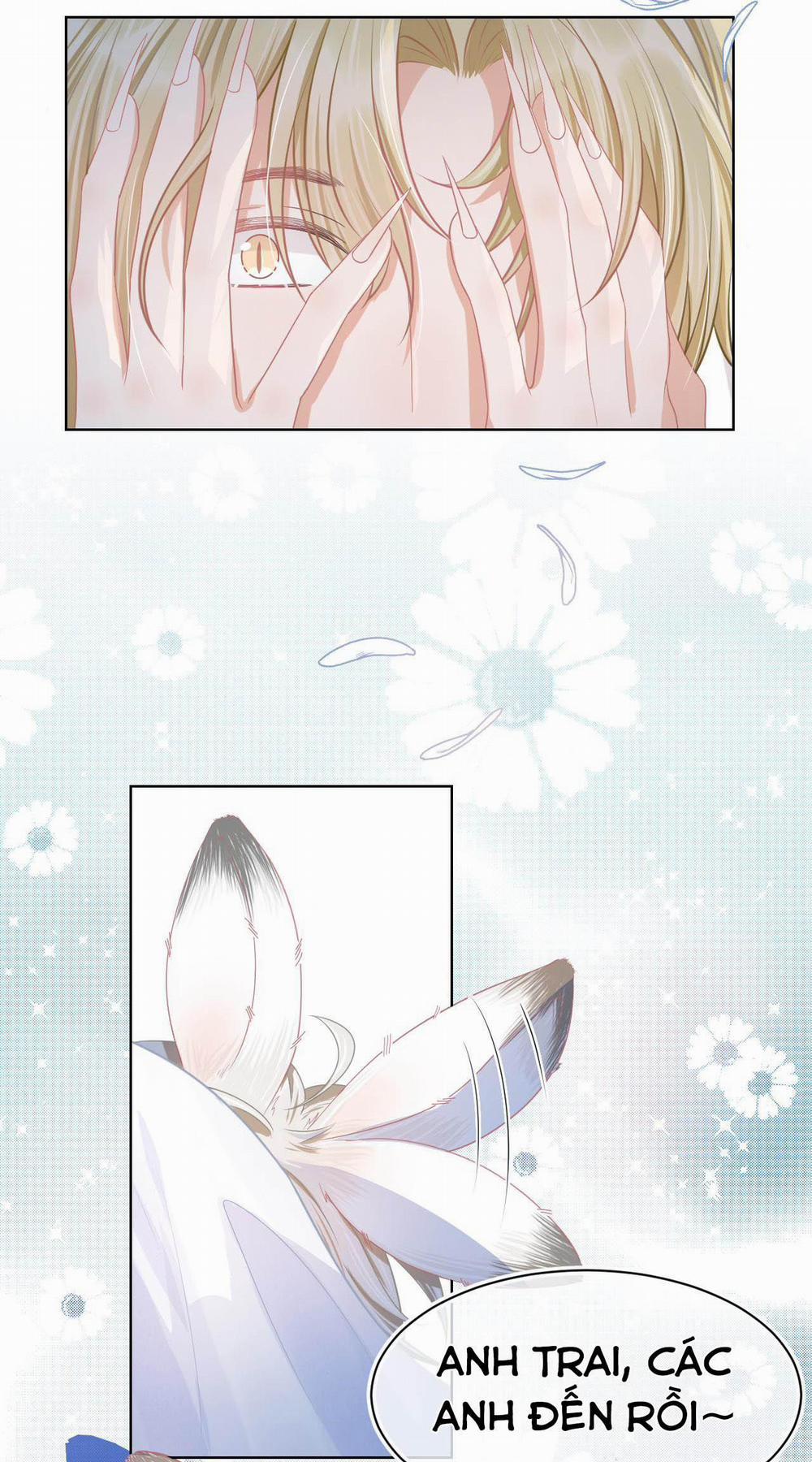 [Ss2] Một Ngụm Ăn Cả Thỏ Con 0 trang 31