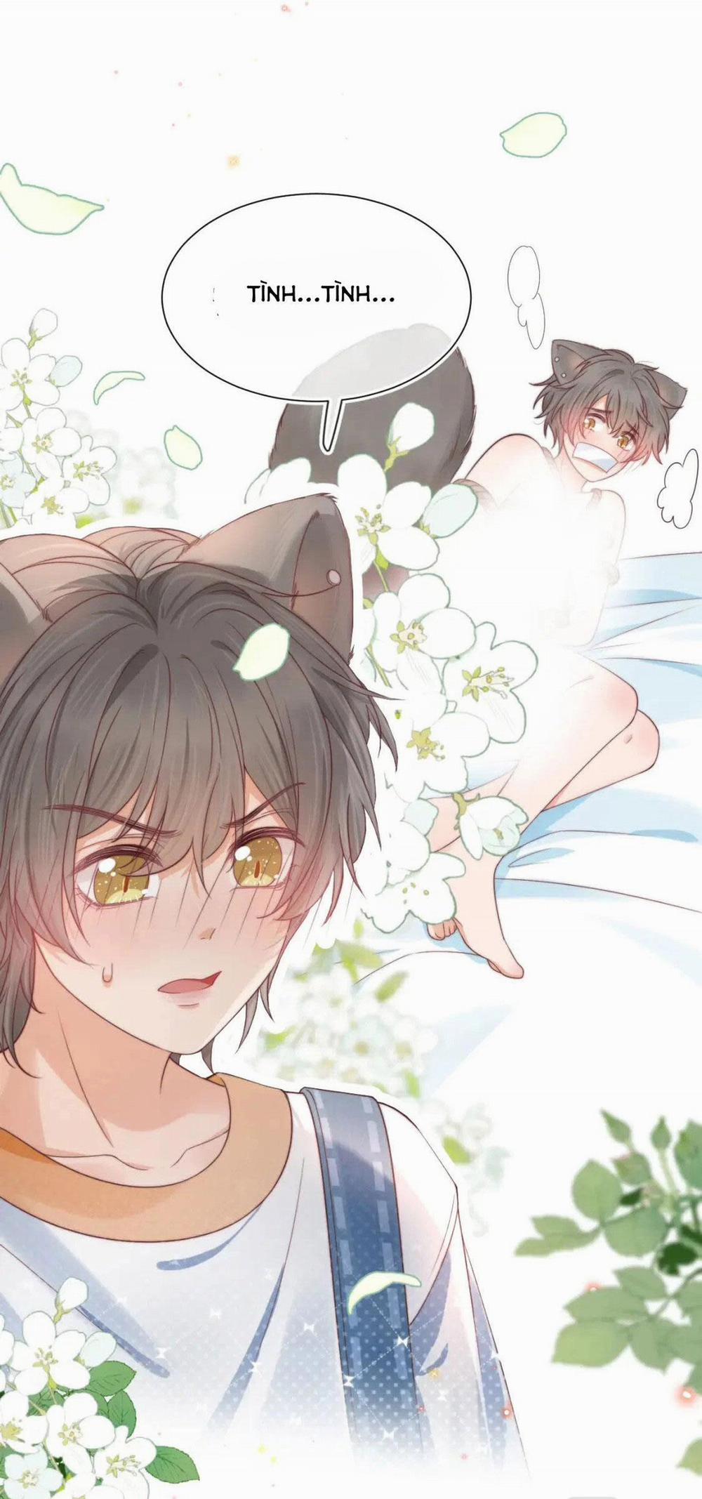 [Ss2] Một Ngụm Ăn Cả Thỏ Con 34 trang 17