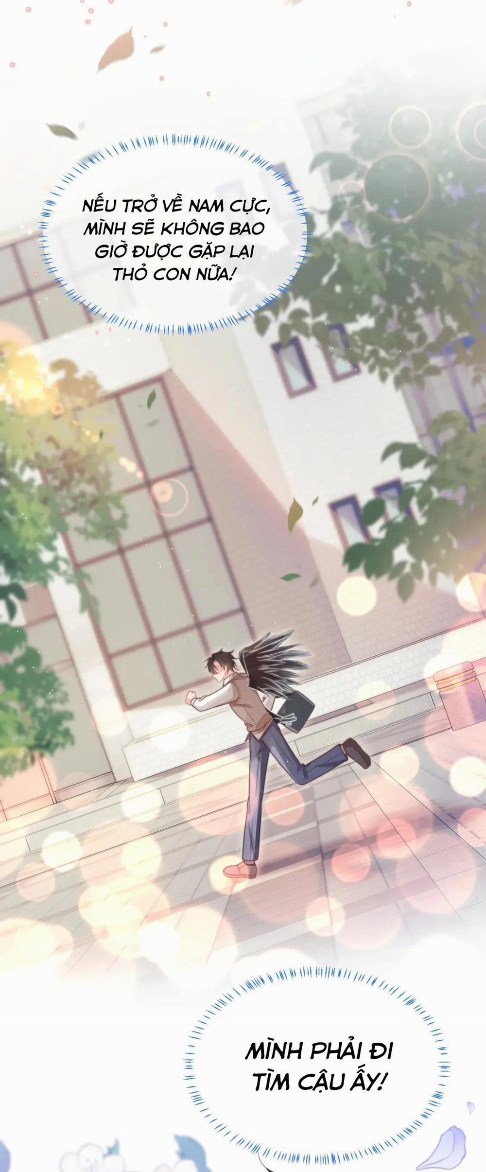 [Ss2] Một Ngụm Ăn Cả Thỏ Con 39 trang 21