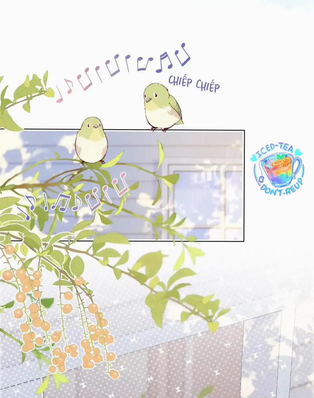 [Ss2] Một Ngụm Ăn Cả Thỏ Con 44 trang 11