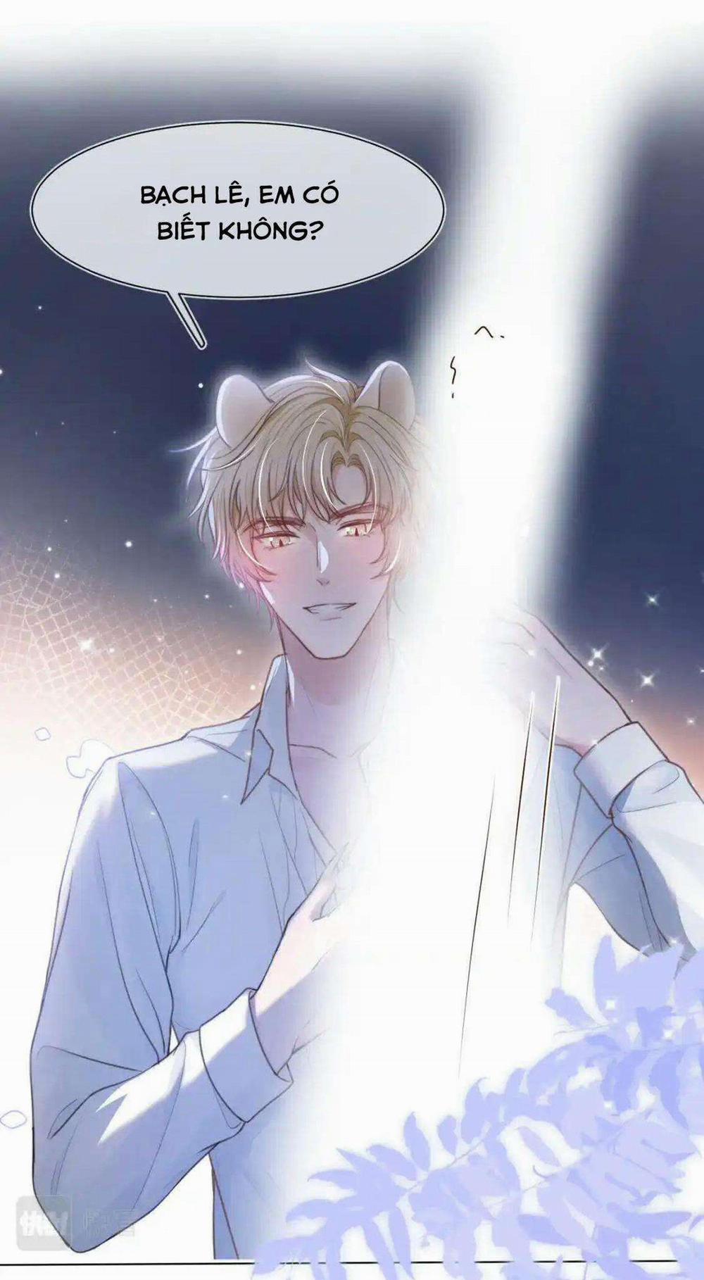 [Ss2] Một Ngụm Ăn Cả Thỏ Con 47 trang 10