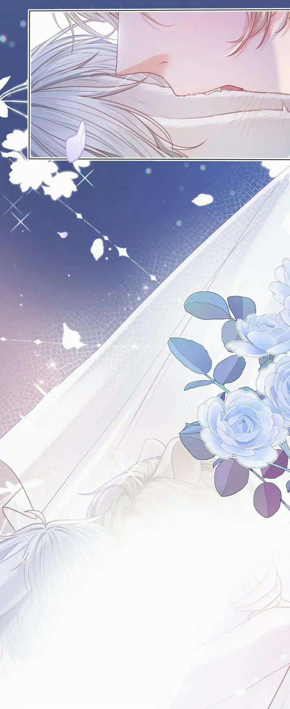 [Ss2] Một Ngụm Ăn Cả Thỏ Con 47 trang 21