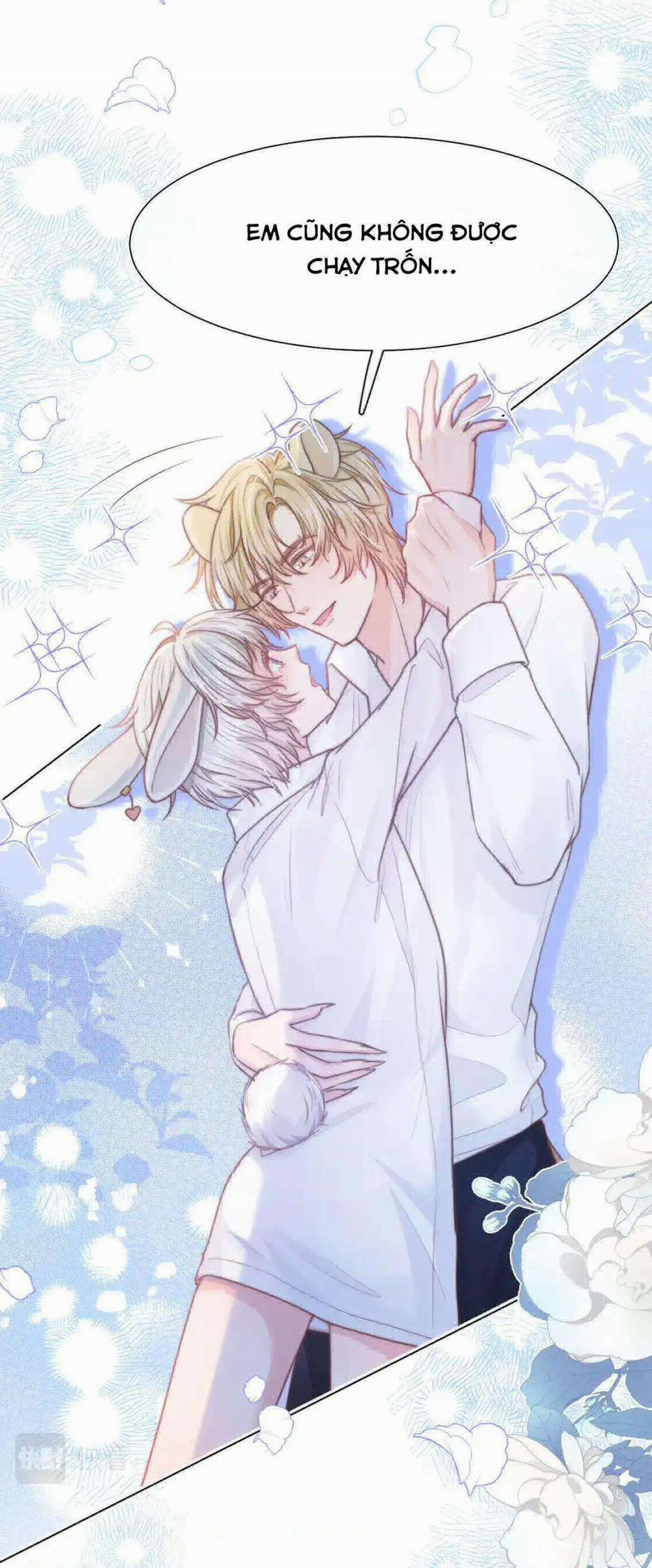 [Ss2] Một Ngụm Ăn Cả Thỏ Con 47 trang 5