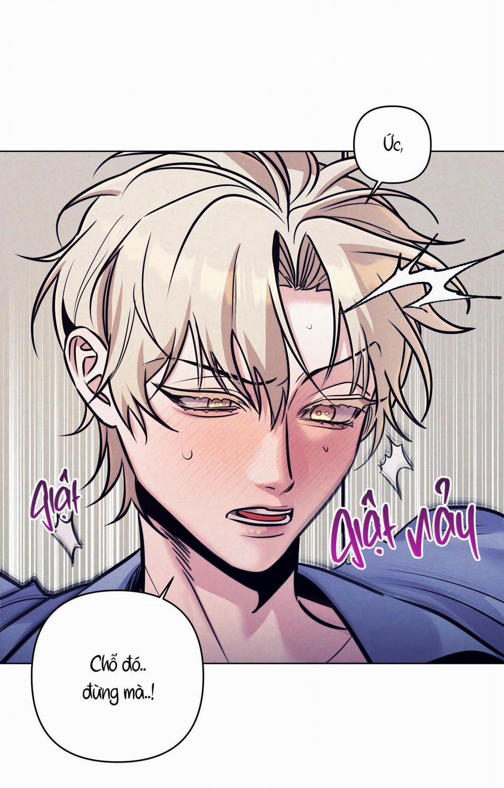 Stigma 15 H+ trang 6