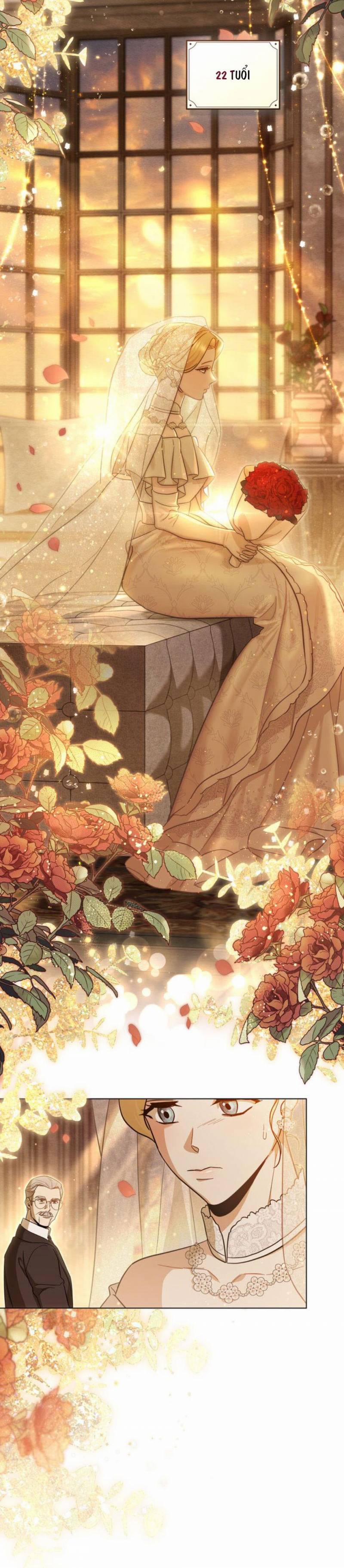 Sự Chuộc Tội Của Bá Tước Nottingham 2 trang 11