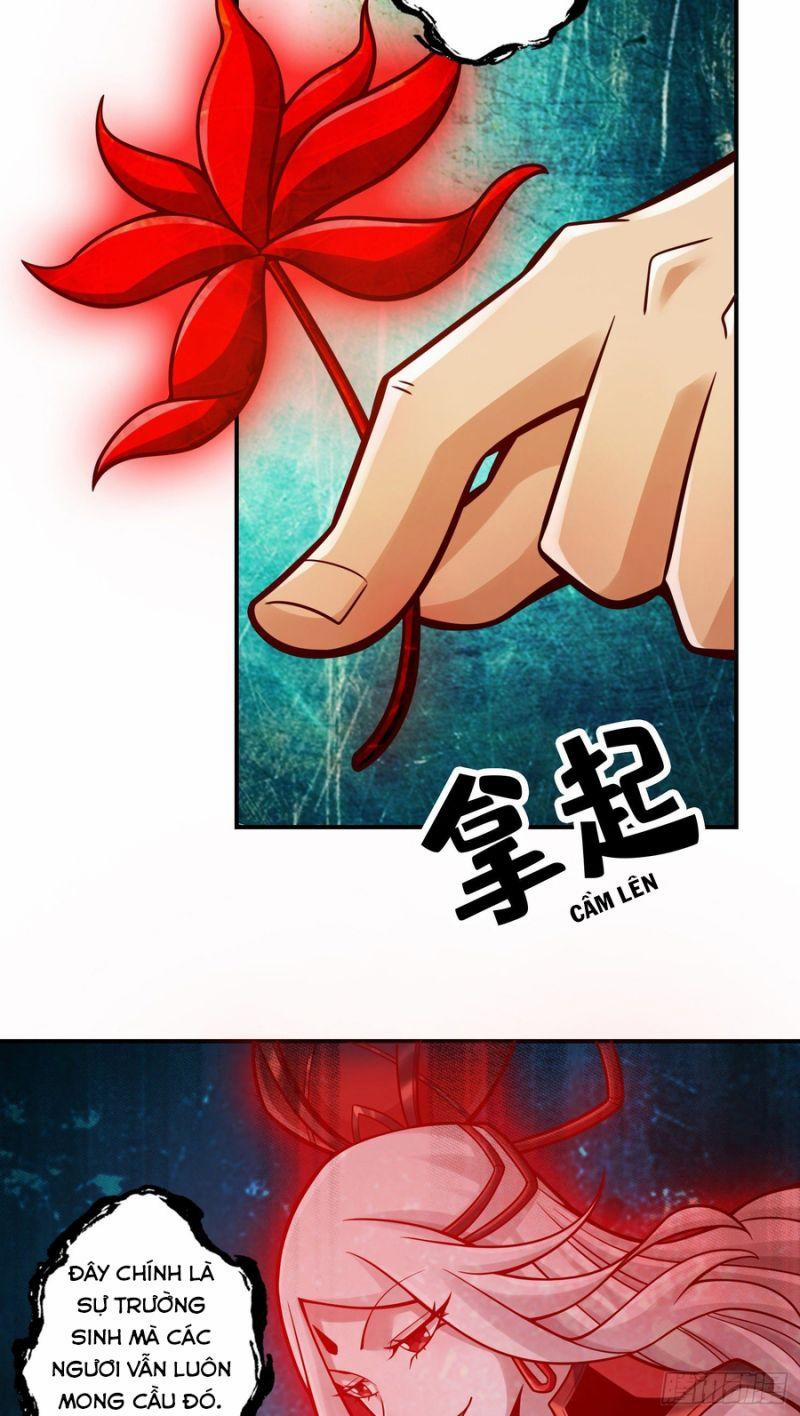 Sư Huynh Của Ta Quá Cẩn Thận Rồi 113 trang 5