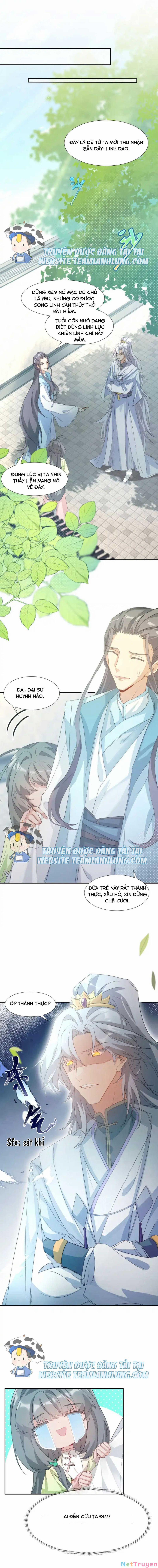 Sư Huynh Phản Diện Bắt Ta Hoàn Lương 5 trang 5