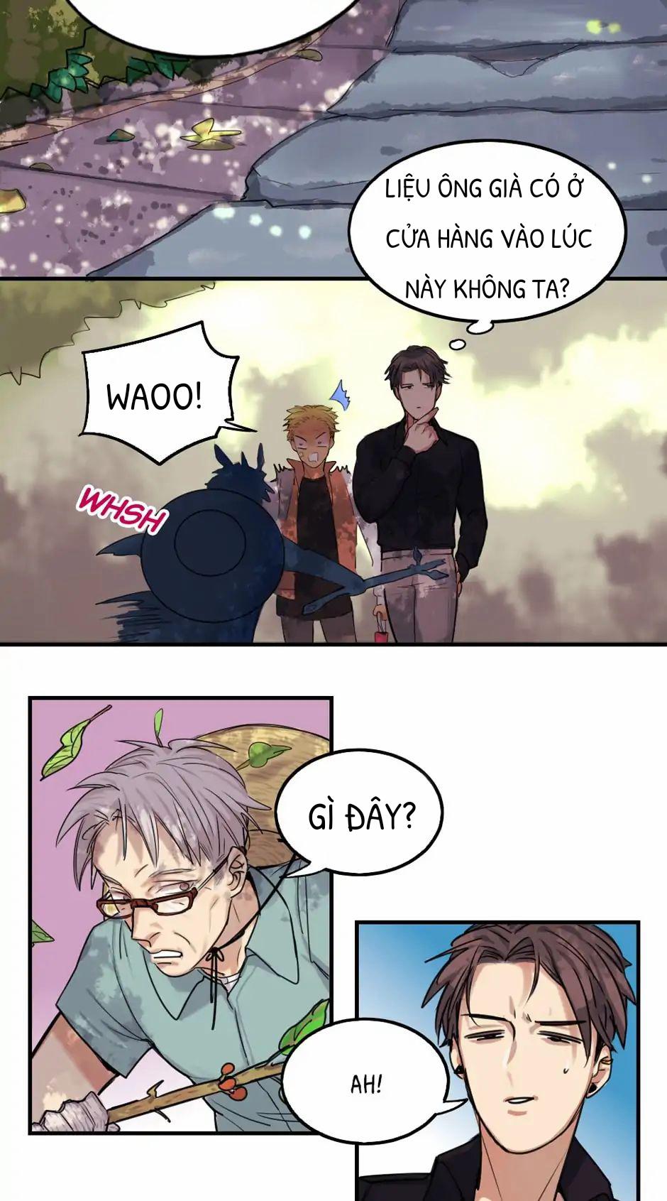 Sự Kết Hợp Hoàn Hảo End 1 trang 13