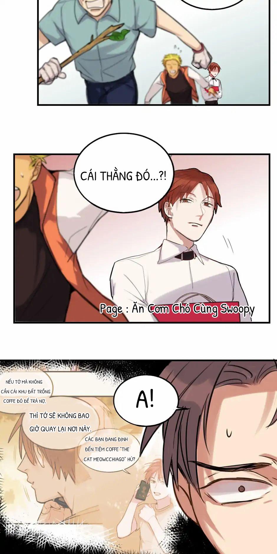 Sự Kết Hợp Hoàn Hảo End 1 trang 22