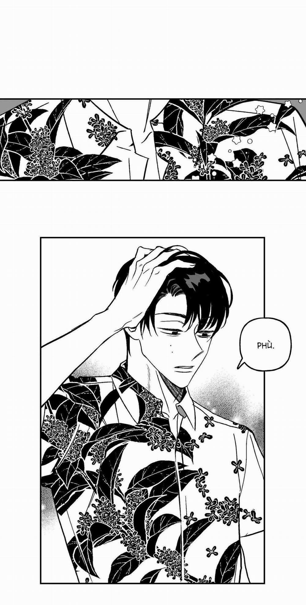 Sự Kết Hợp Hoàn Hảo 29 trang 10