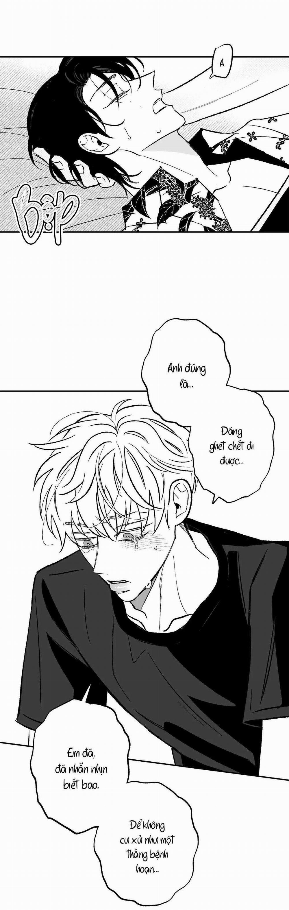 Sự Kết Hợp Hoàn Hảo 30 trang 15