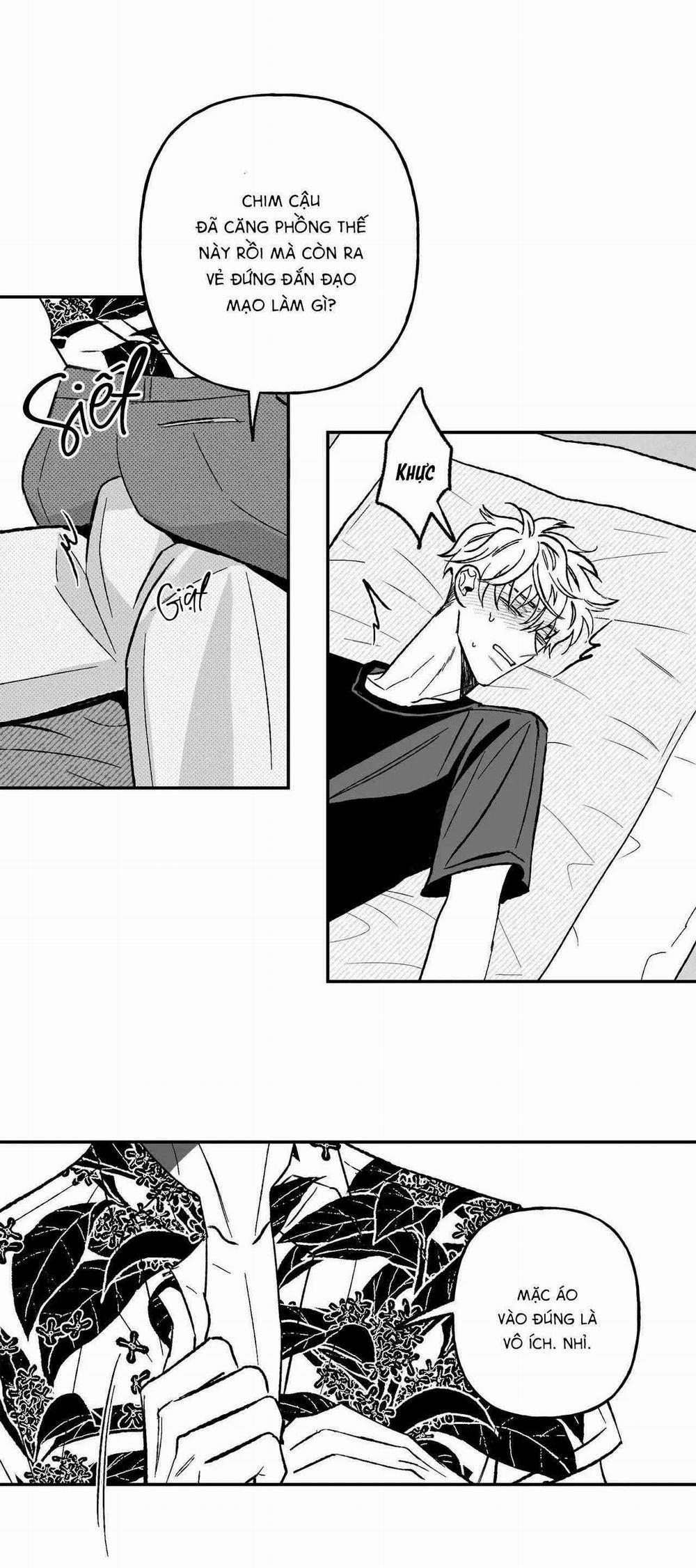 Sự Kết Hợp Hoàn Hảo 30 trang 3