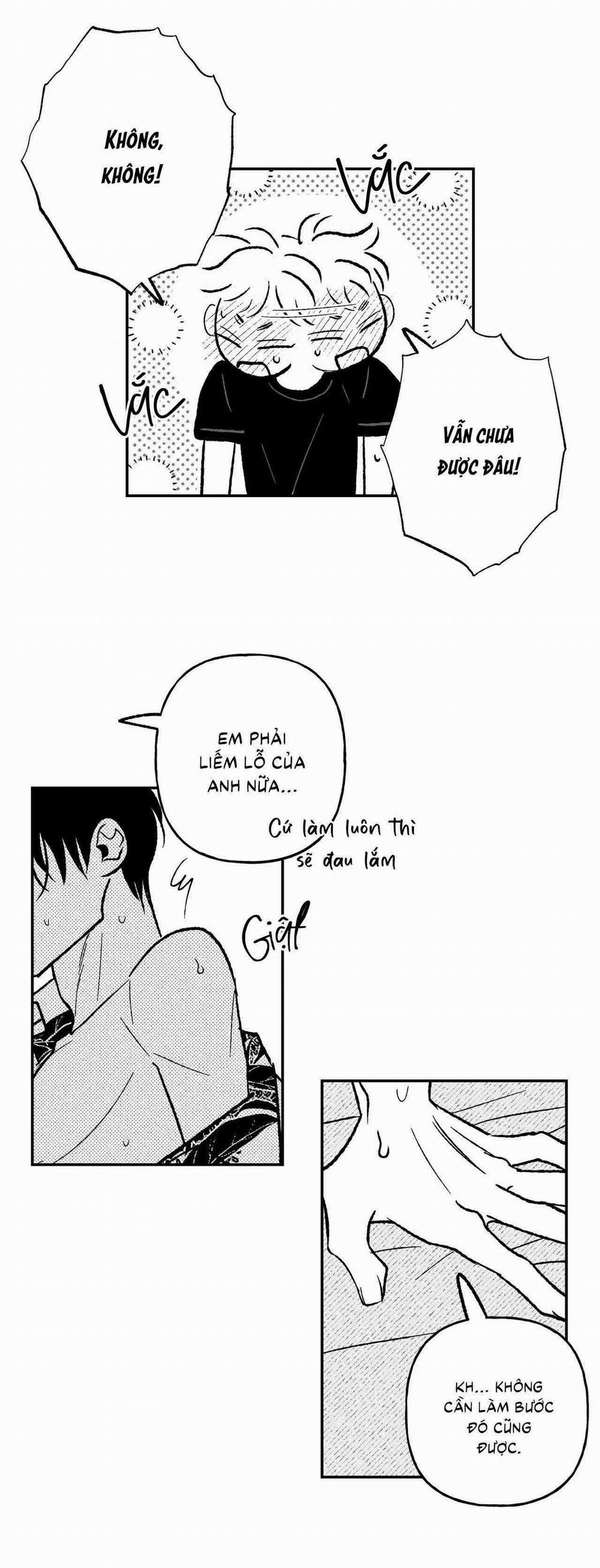 Sự Kết Hợp Hoàn Hảo 31 trang 13