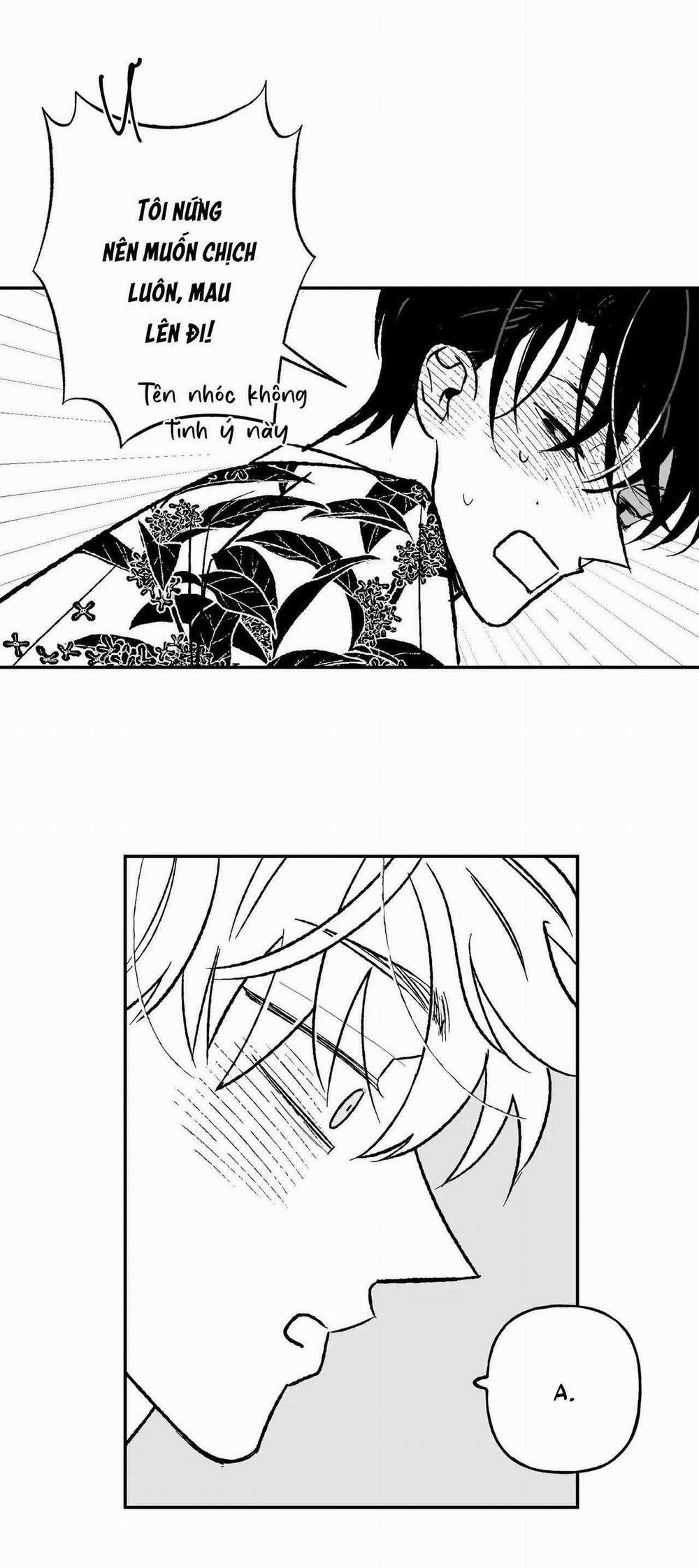 Sự Kết Hợp Hoàn Hảo 31 trang 28