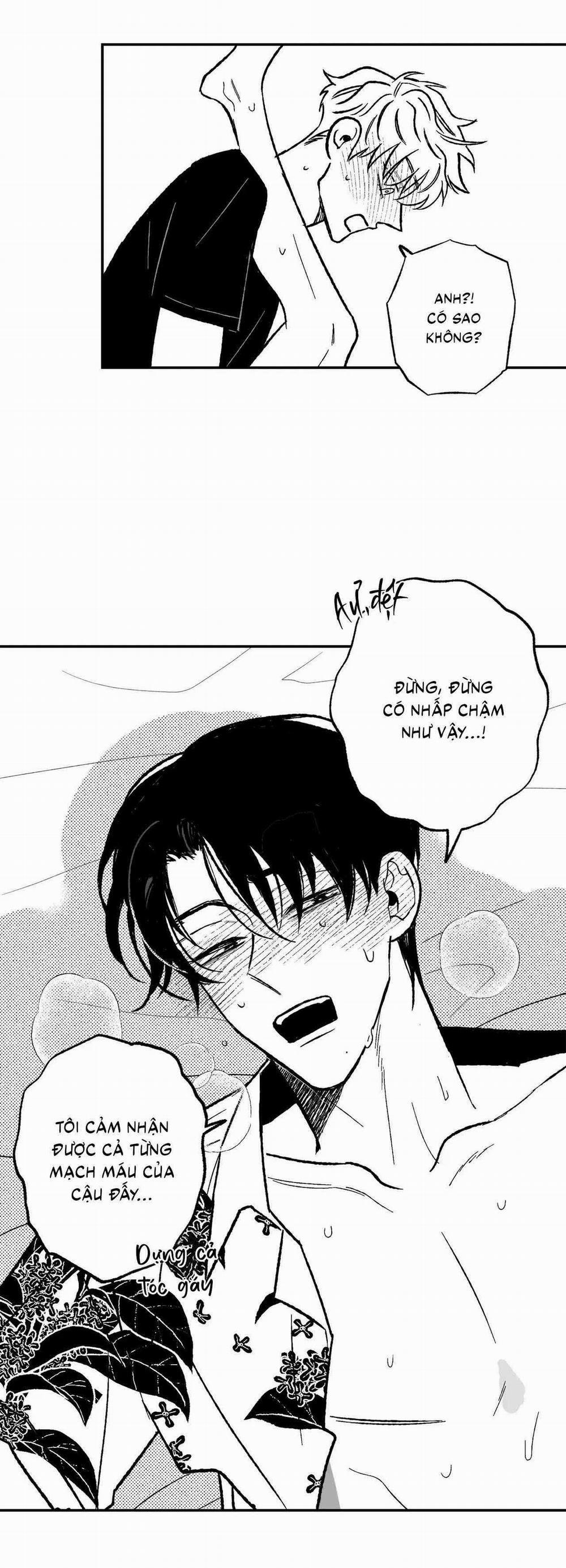 Sự Kết Hợp Hoàn Hảo 32 trang 11