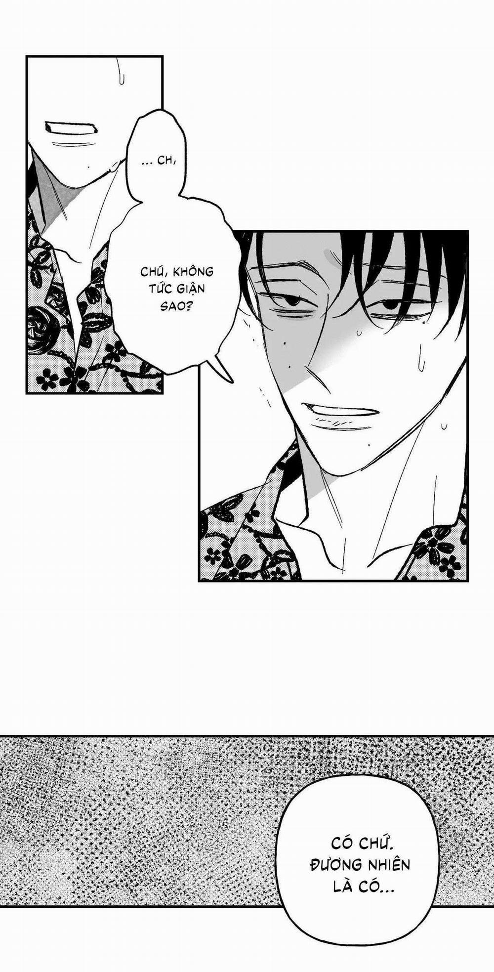 Sự Kết Hợp Hoàn Hảo 36 trang 5