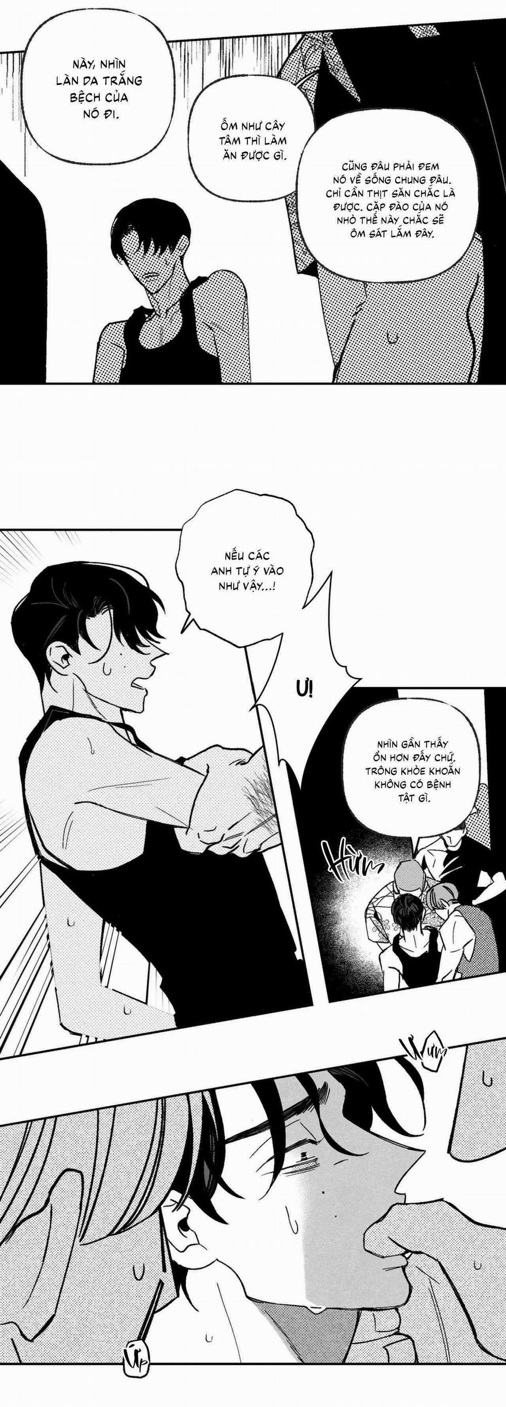 Sự Kết Hợp Hoàn Hảo 40 trang 6