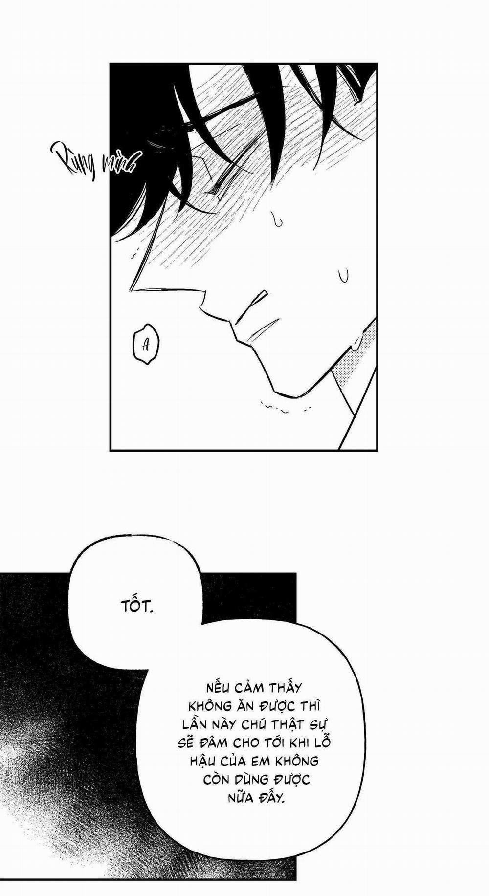 Sự Kết Hợp Hoàn Hảo 41 trang 37