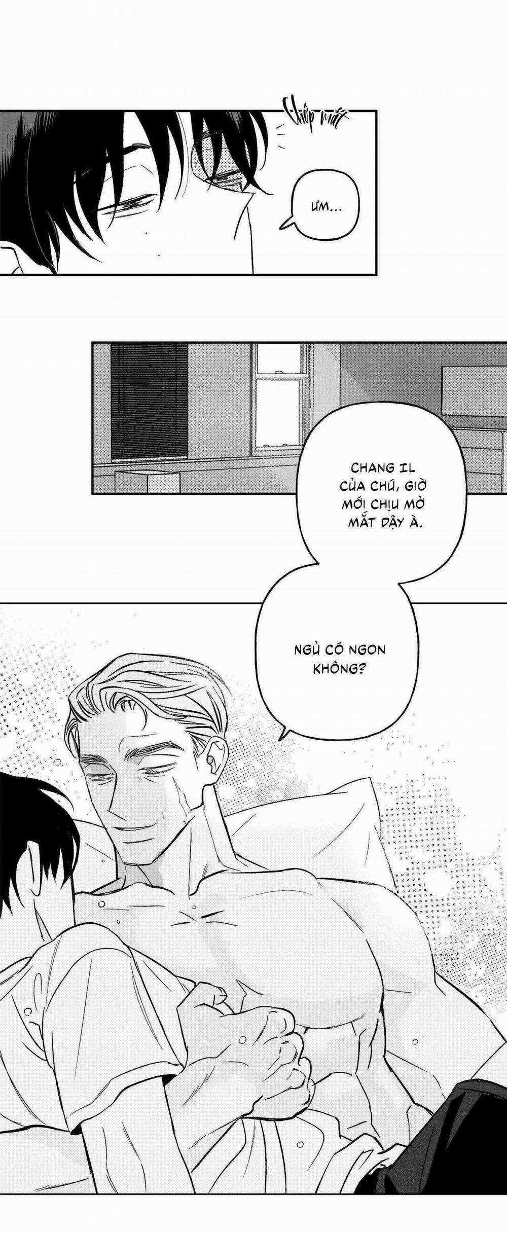 Sự Kết Hợp Hoàn Hảo 41 trang 5