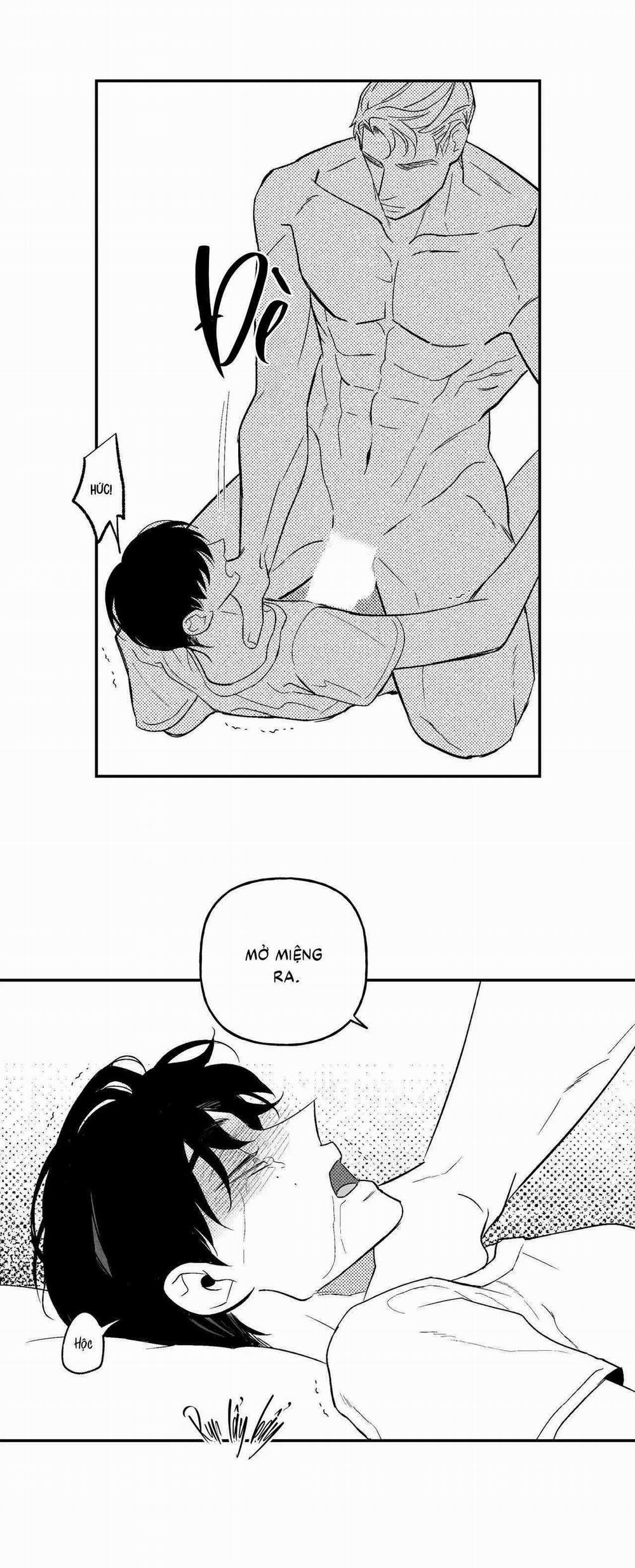 Sự Kết Hợp Hoàn Hảo 42 trang 12