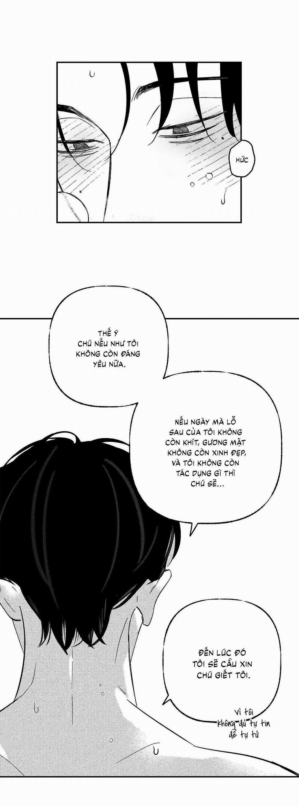 Sự Kết Hợp Hoàn Hảo 43 trang 31