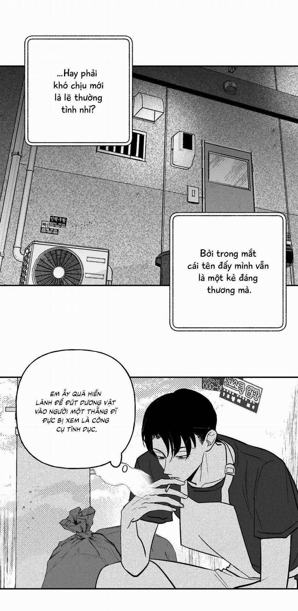 Sự Kết Hợp Hoàn Hảo 44 trang 12