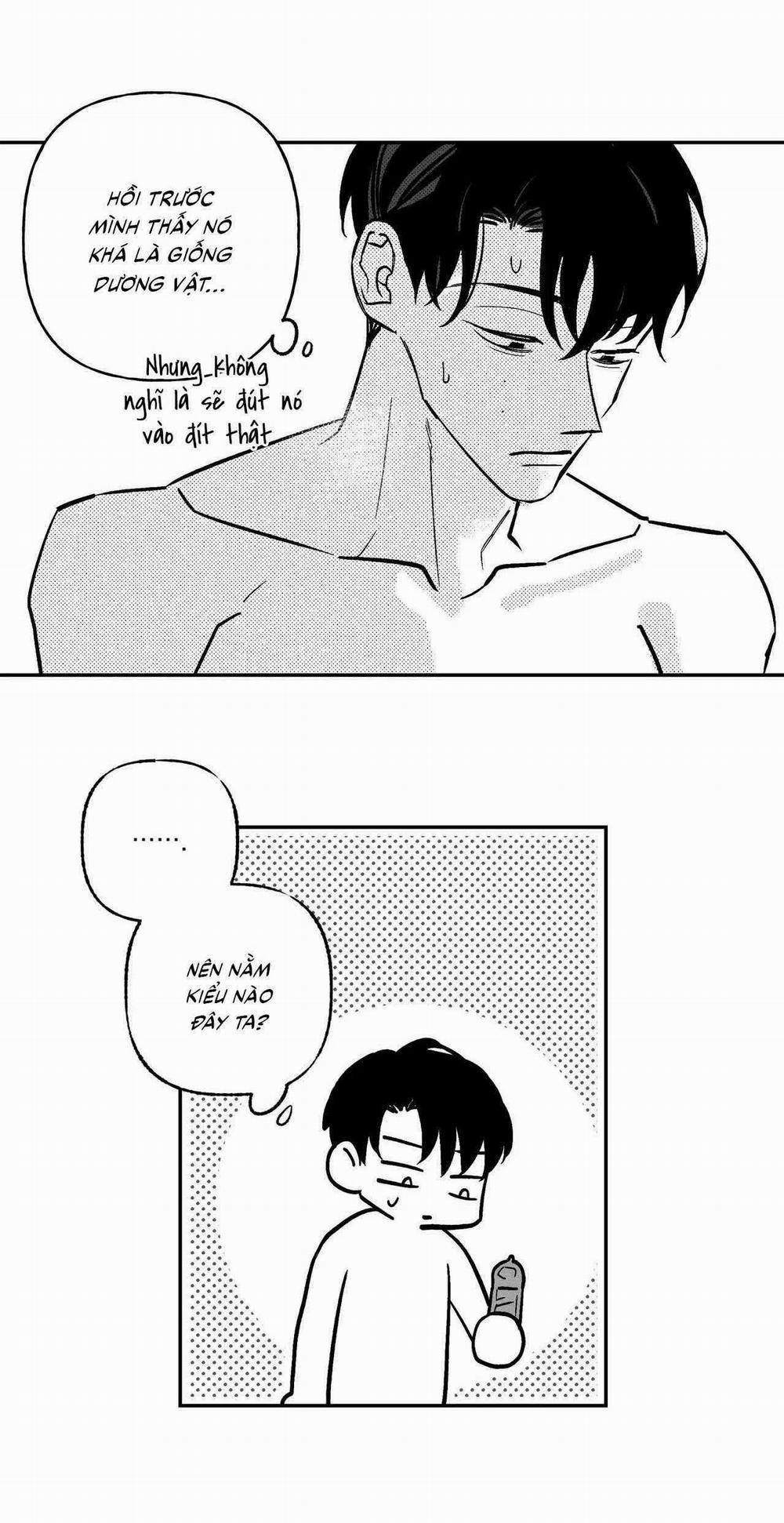 Sự Kết Hợp Hoàn Hảo 45 trang 21