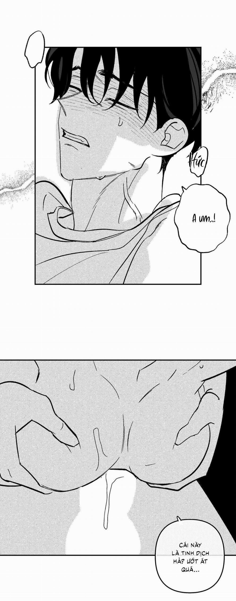 Sự Kết Hợp Hoàn Hảo 47 trang 13