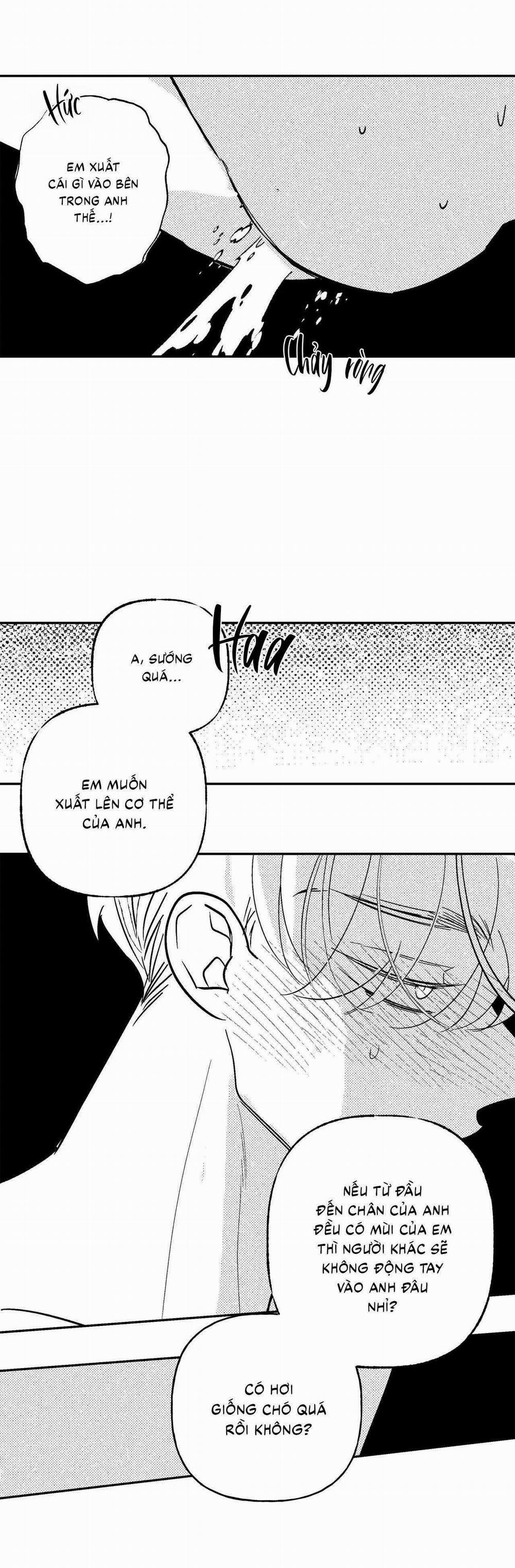 Sự Kết Hợp Hoàn Hảo 47 trang 18