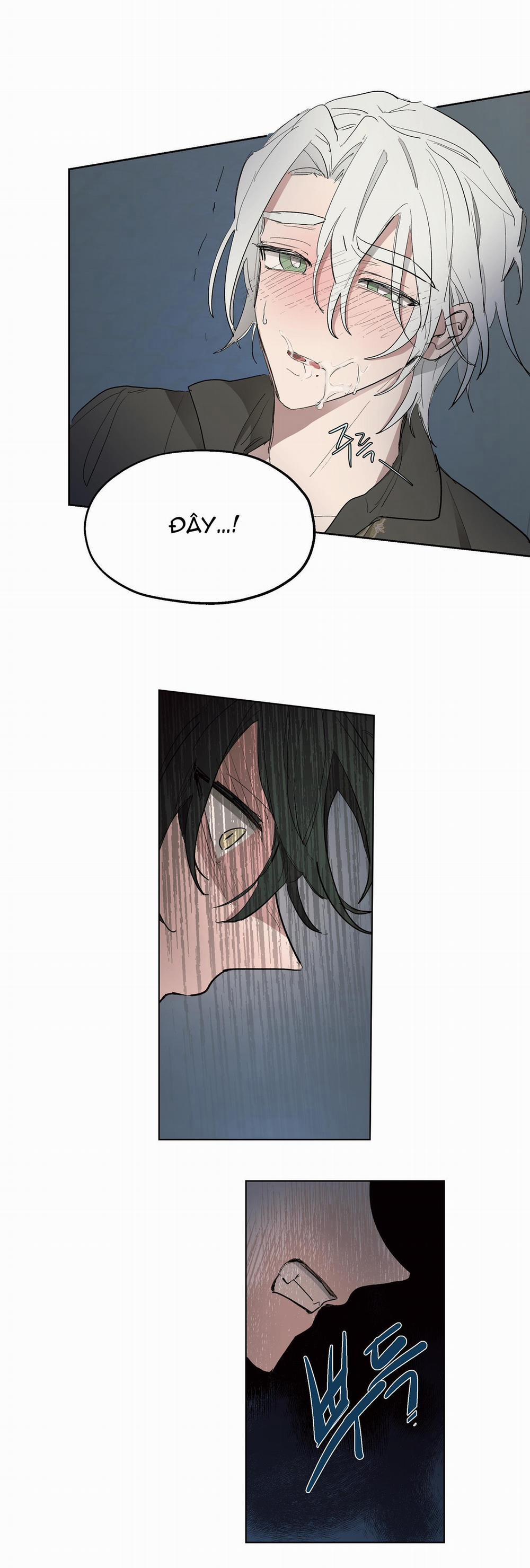 SỰ KIÊU NGẠO CỦA OTTO ĐỆ NHẤT 23 trang 13