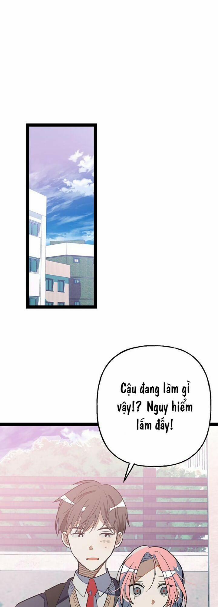 Sự Lãng Mạn Còn Tồn Tại 3 trang 0