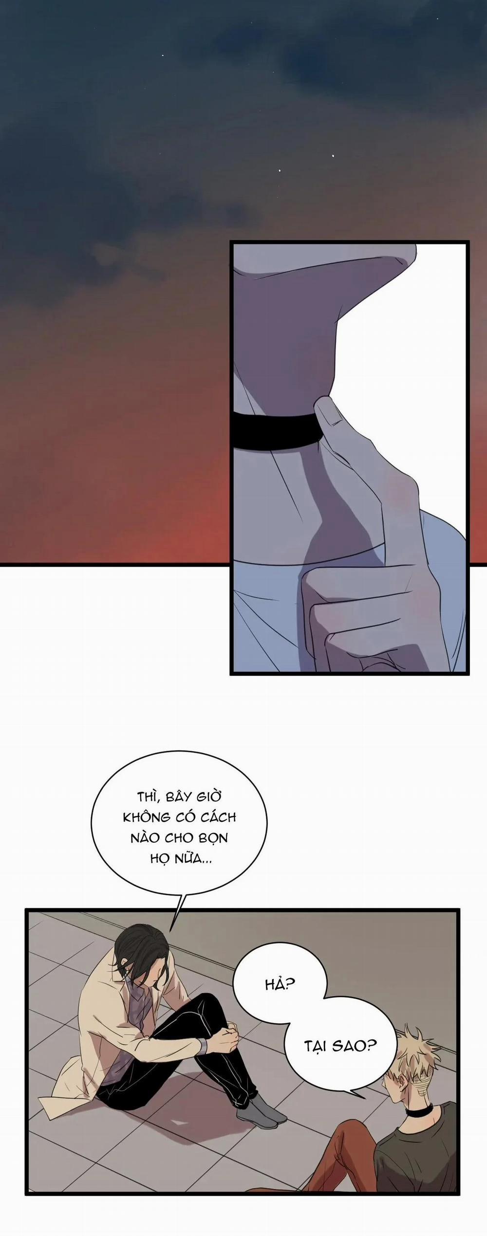 Sự Lạnh Lùng Của Tôi 54 trang 2