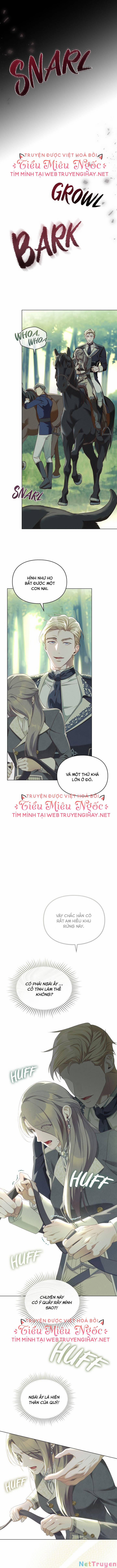 Sự Phản Bội 8 trang 8