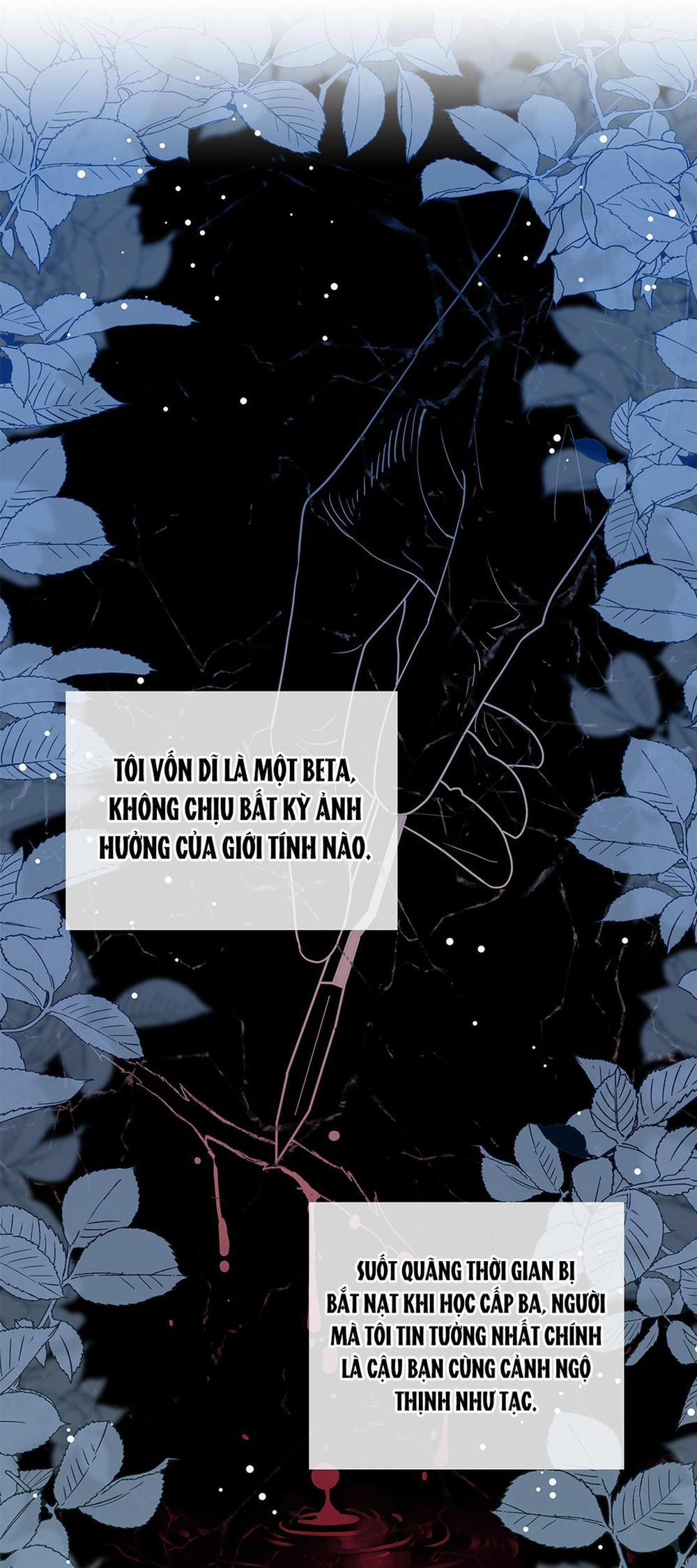 Sự Phù Hợp Muộn Màng 3 trang 16