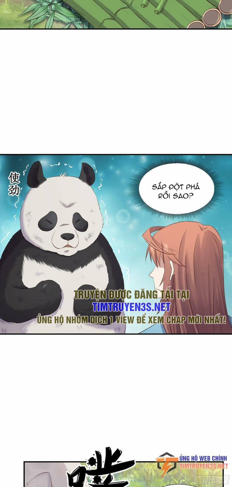 Sư Phụ Ta Max 100 Triệu Điểm Mọi Thứ 45 trang 17